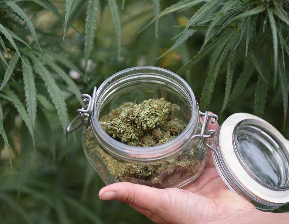 CBD collections