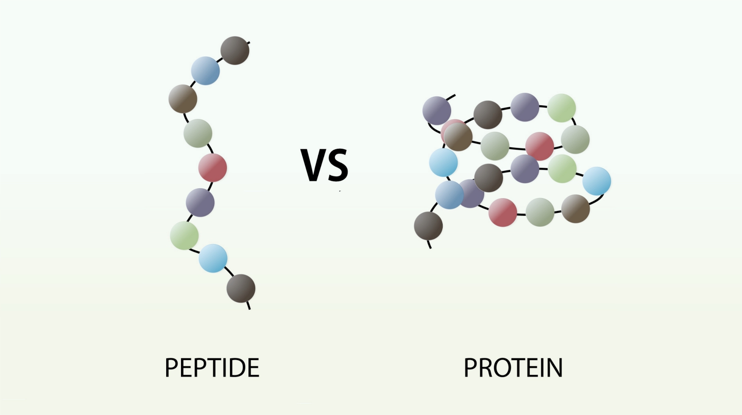 How Clearly Listed Strengths Make Peptide Selection More Straightforward